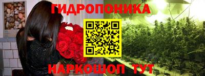 ПСИЛОЦИБИНОВЫЕ ГРИБЫ Ставрополь