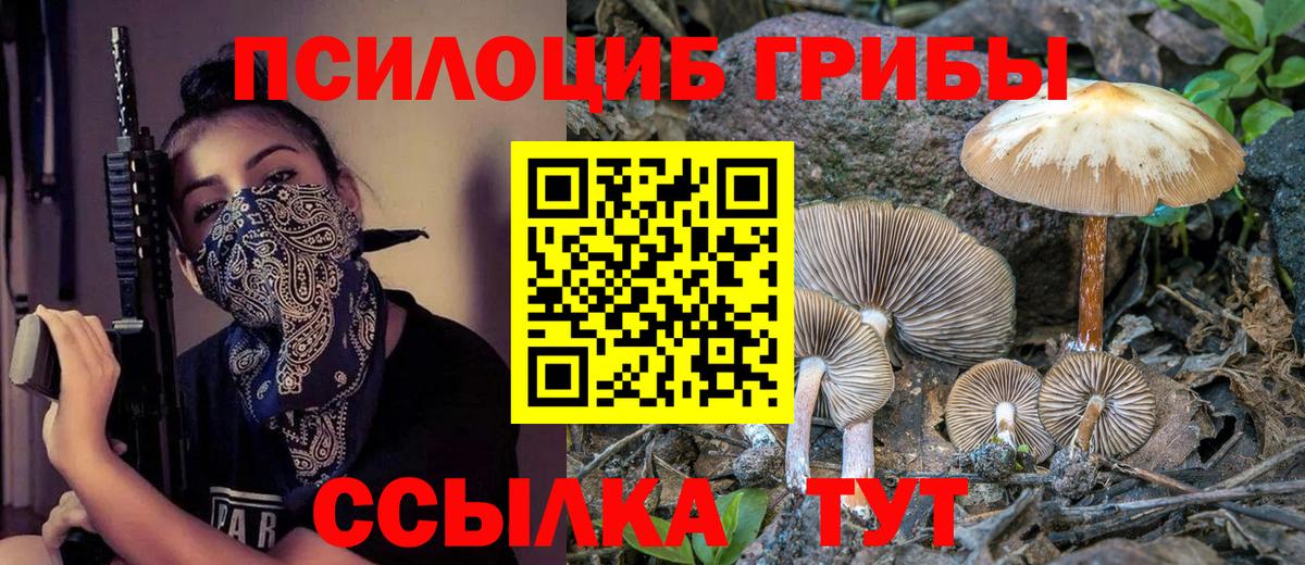 Псилоцибиновые грибы мухоморы  Вход с VPN  Назрань 